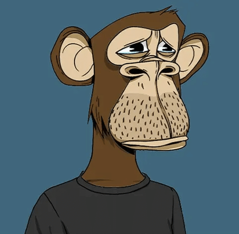 bored ape